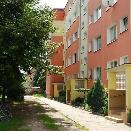 Mieszkanie Jelitkowo Danzica Esterno foto